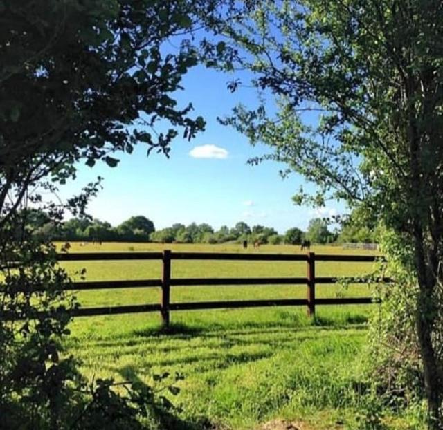 B&B Haras De La Cour Fleury Saint-Michel-de-Livet Ngoại thất bức ảnh