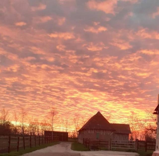 B&B Haras De La Cour Fleury Saint-Michel-de-Livet Ngoại thất bức ảnh