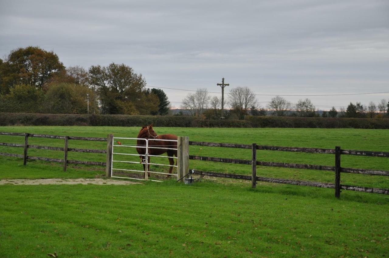 B&B Haras De La Cour Fleury Saint-Michel-de-Livet Ngoại thất bức ảnh