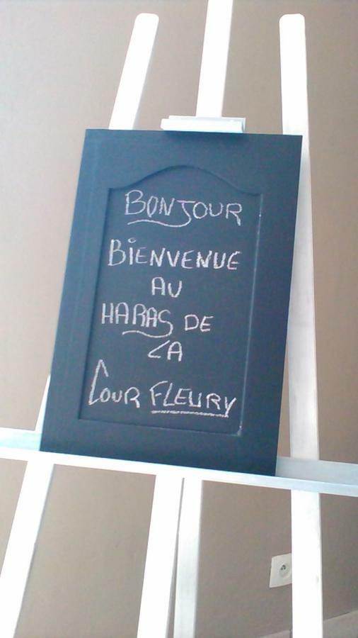 B&B Haras De La Cour Fleury Saint-Michel-de-Livet Ngoại thất bức ảnh