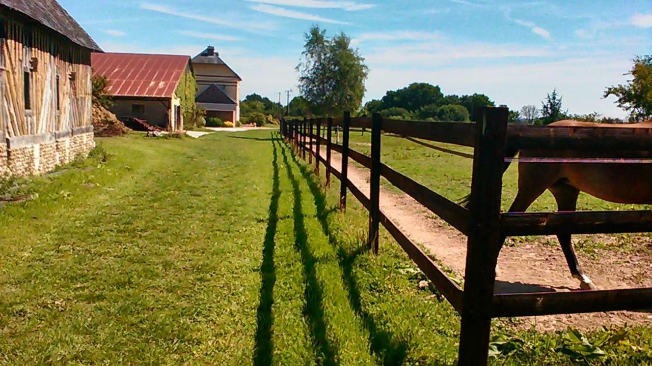B&B Haras De La Cour Fleury Saint-Michel-de-Livet Ngoại thất bức ảnh